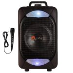 اسپیکر شارژی NGEAR مدل TF-610