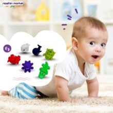 خرید پوپت دریایی 6 عددی